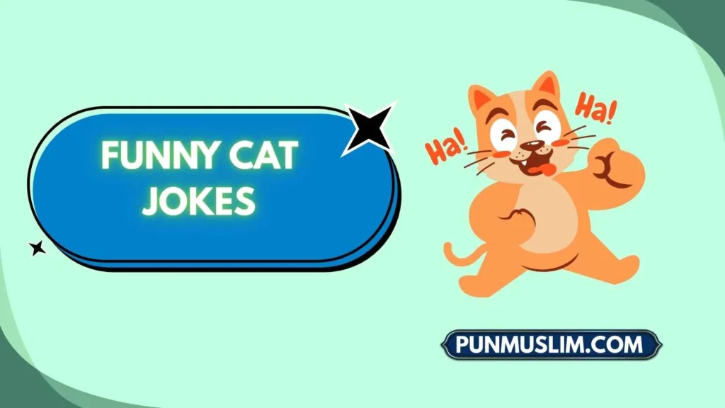 Funny Cat Jokes