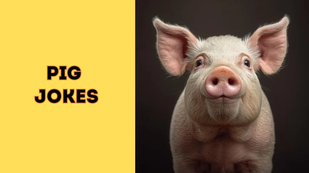 pig jokes