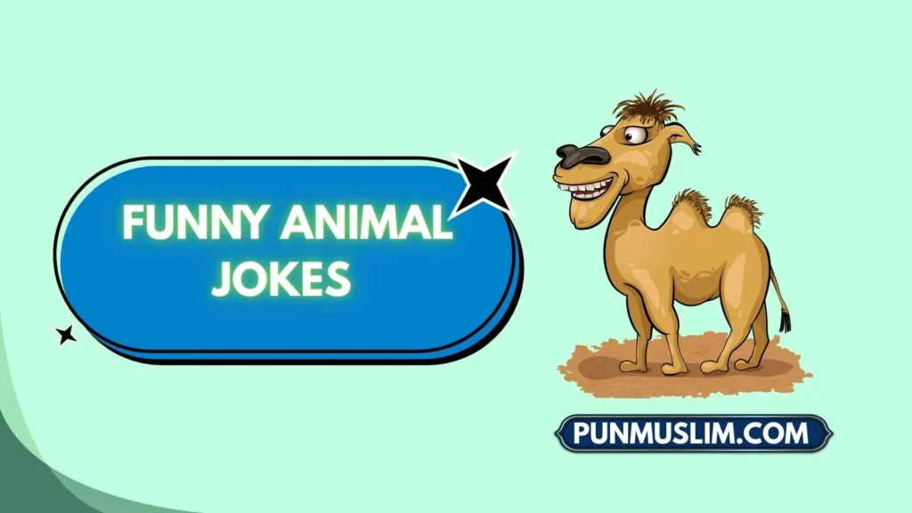 Funny Animal Jokes