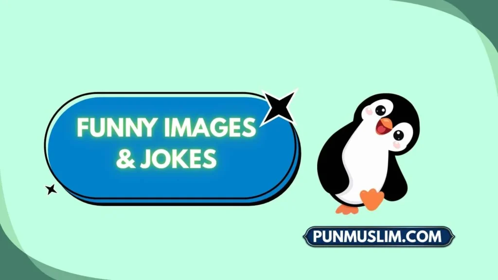 Funny Images & Jokes