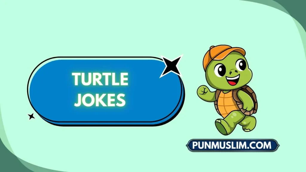 Turtle Jokes