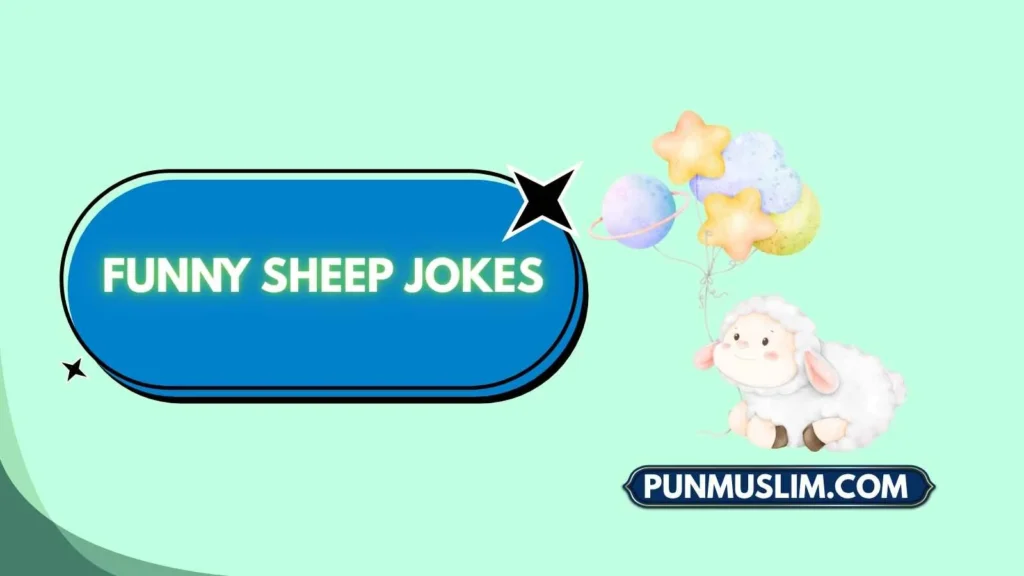 Funny Sheep Jokes