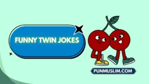 Funny Twin Jokes