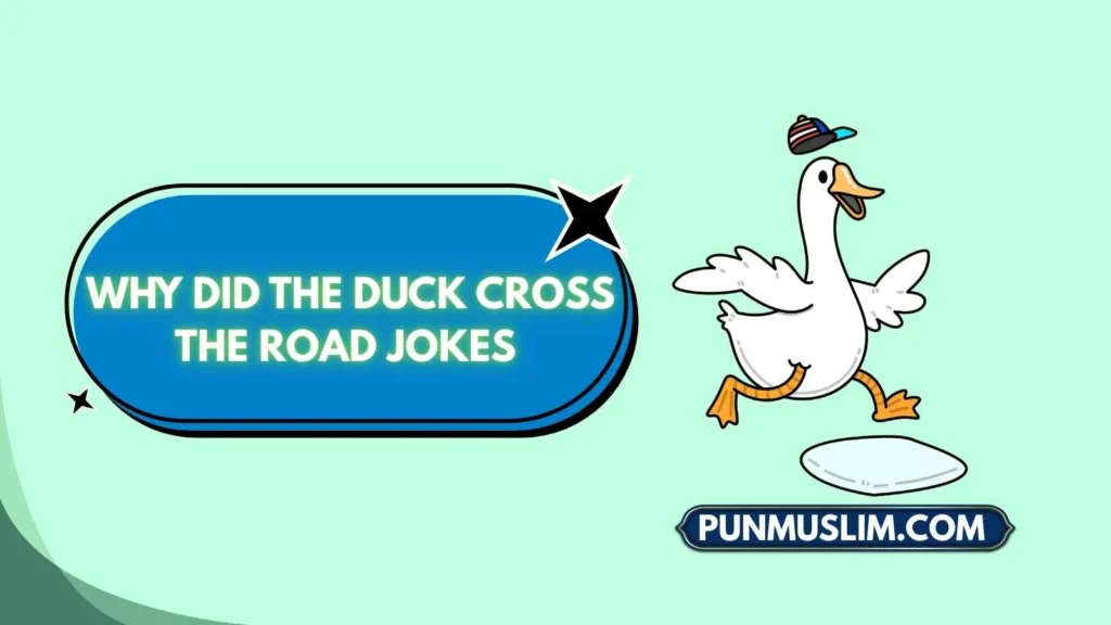 Why Did the Duck Cross the Road Jokes