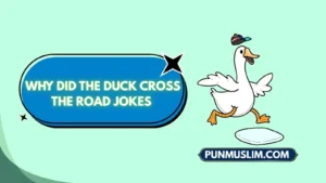 Why Did the Duck Cross the Road Jokes