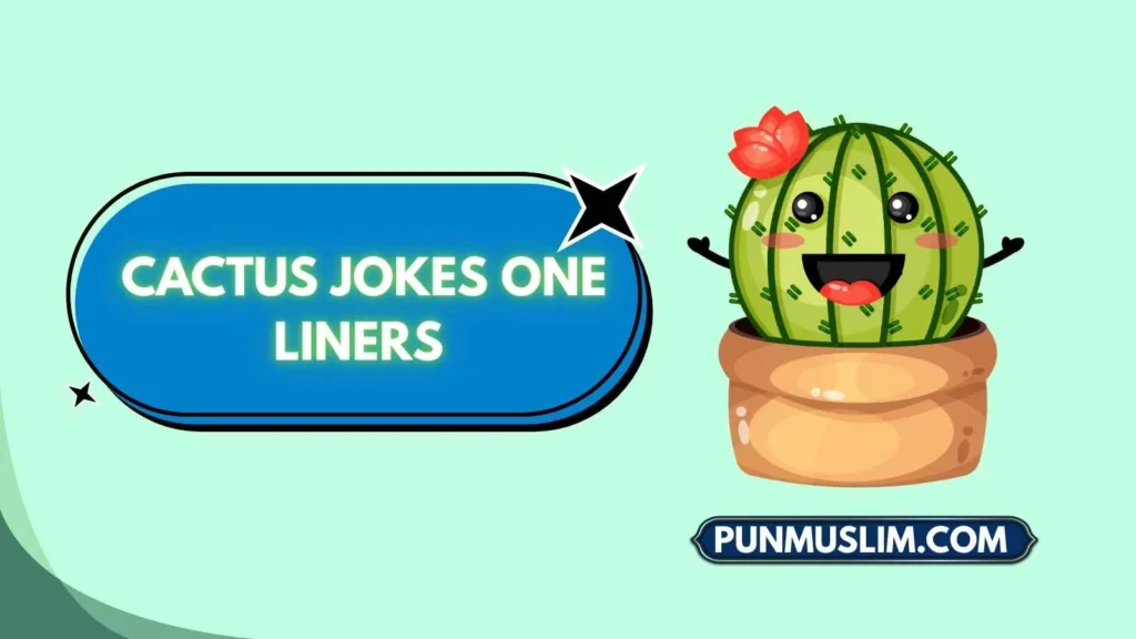Cactus Jokes One Liners