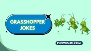 Grasshopper Jokes